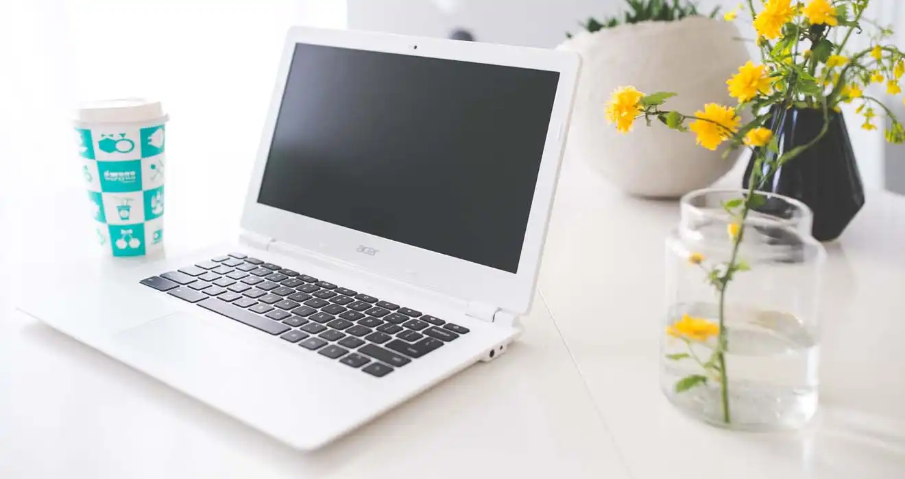 Ремонт ноутбуков Acer в Шатуре